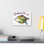 Watercolor Style Fish Canvas Art